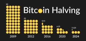 bitcoin halving